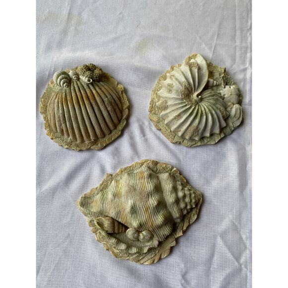 Set of 3 Sea Shell Wall Art 3-D, rough sand-like plaster or resin Apx 7-8" EUC - Picture 1 of 13